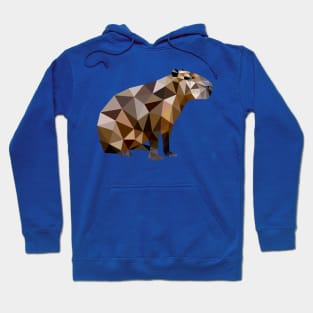 Capybara Hoodie